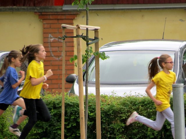 Városnapi Futóverseny 2019 001